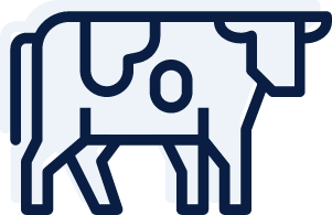 cow icon