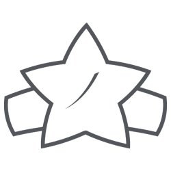 icon-care-excellence-250-250 Star of excellence icon
