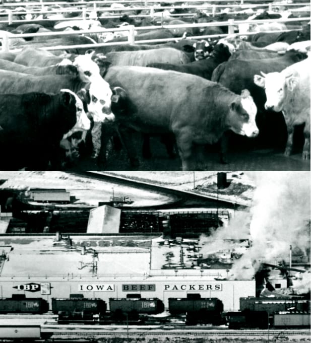 time-60 Vintage image of Tyson's Origins