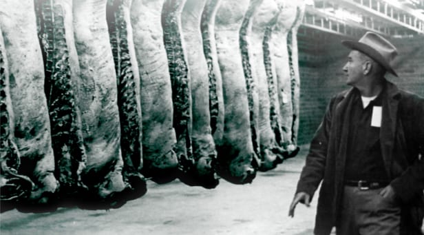 time-64 Vintage image of meat inspector