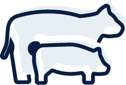 Legacy Beef & Pork Icon
