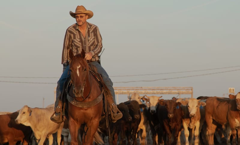 Mobile_Header1 Sustainable Ranching