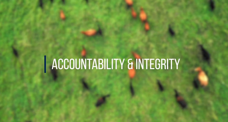 Accountability and Integrity