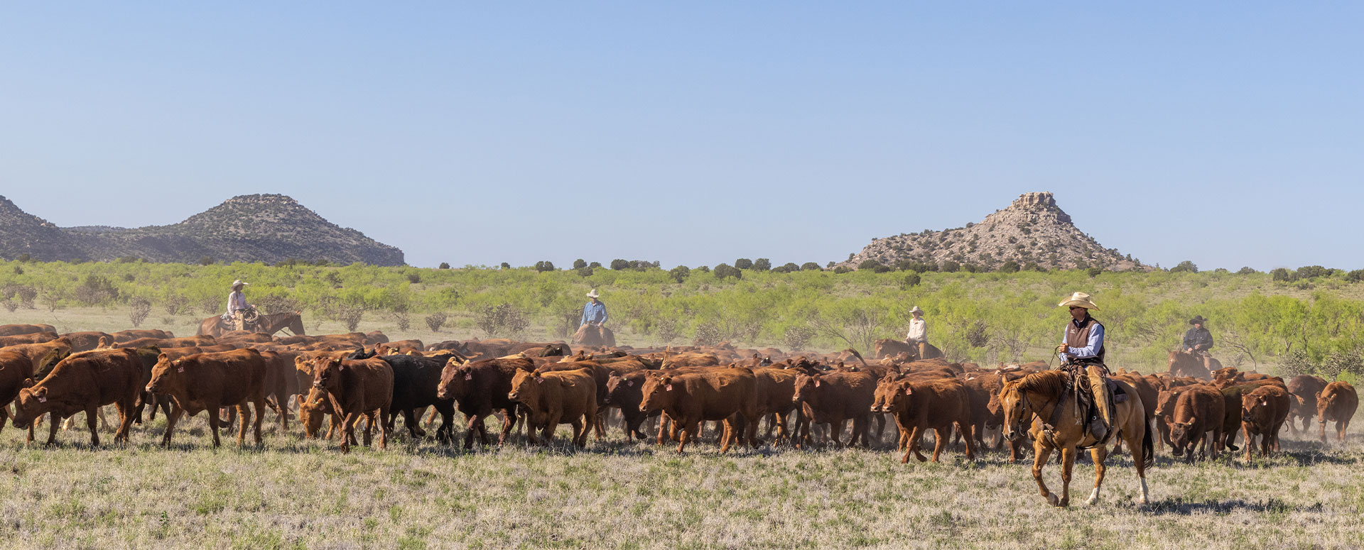 Open Prairie Natural Meats - Production